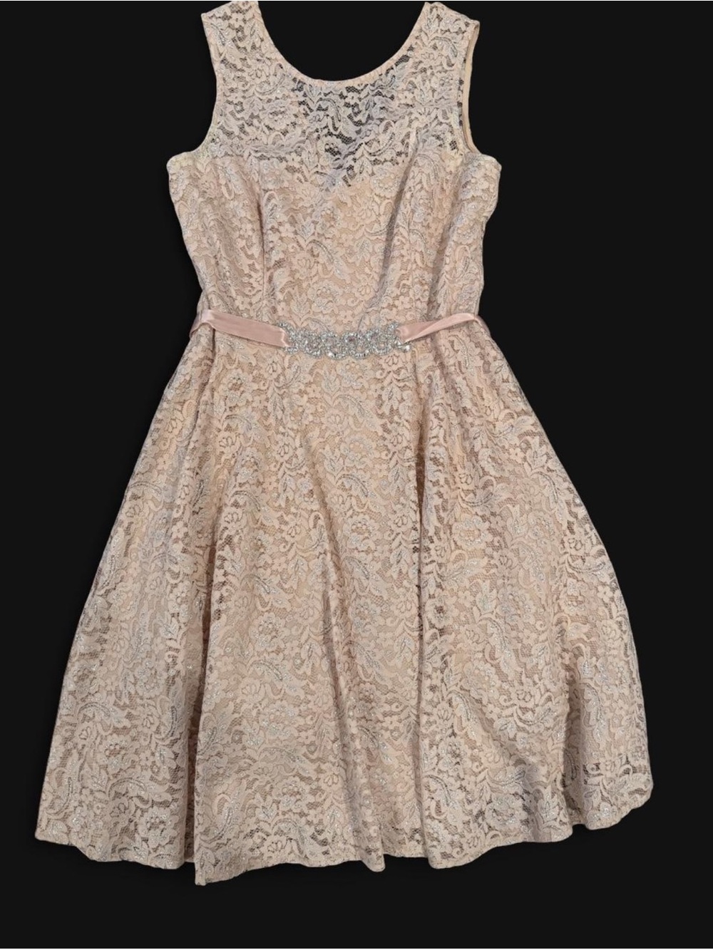 Betsy & Adam Blush Lace Fit-and-Flare Dress with Jeweled Belt